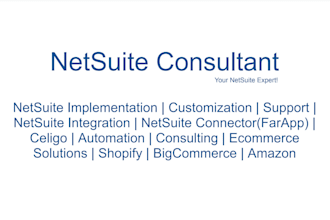 do it all netsuite implementation, support and integration