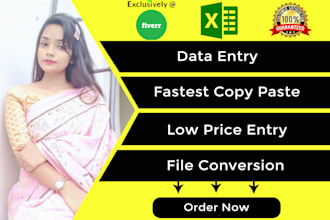 do low price data entry in google or excel sheets