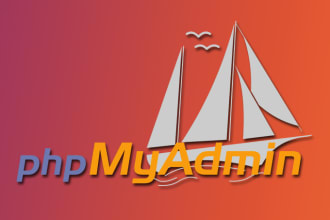 setup phpmyadmin on your vps or dedicated server