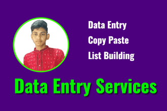do data entry, copy paste, pdf to excel, excel data entry typing work