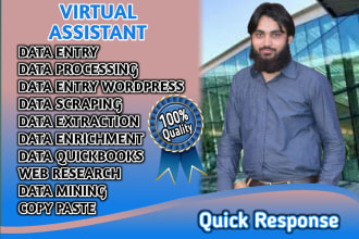 be your virtual assistant for data entry,data scraping