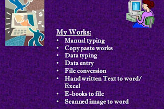 do data entry, manual typing, convert PDF to word or excel