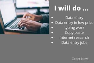do perfect data entry fast job in low price