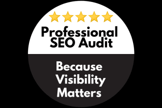 conduct and implement professional on page SEO audit