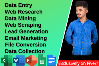 do data entry, web research, data mining and excel data entry