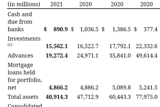 extract to create standardize financial statements from PDF documents to excel
