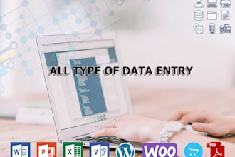 do all type of data entry like wordpress, ms office, PDF, google