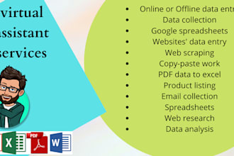 do data entry using excel spreadsheet