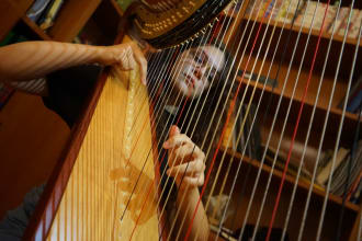 teach you how to play the harp