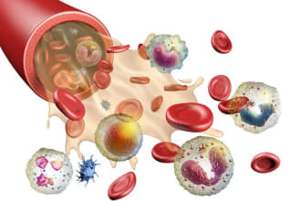 guide in physiology anatomy and clinical chemistry tasks