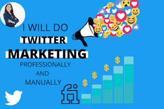 do professionally twitter marketing and promotion