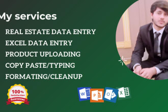 do excel data entry, pdf to excel, typing and copy paste