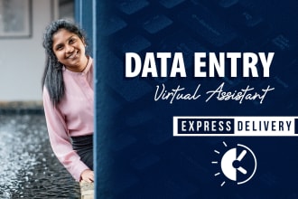 be your virtual assistant for data entry, copy paste, excel, and web research