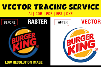 create vector from any image, sketch or scan file