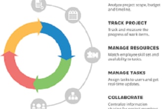 prepare project schedule, s curve, and histogram for your project
