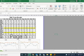 enter data, analyze and present for your work or project