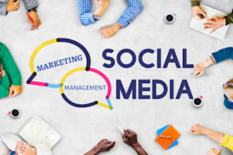 be your social media handler