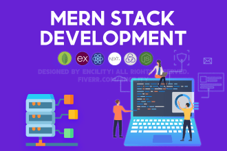 do mern stack website development