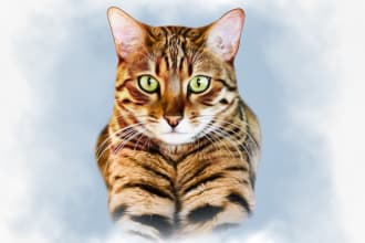 draw a portrait of your pet, cat, dog, parrot, fish