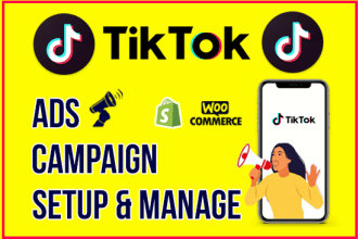 run and manage tiktok ads campaign, tik tok ads, tiktok advertising