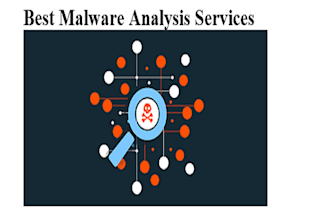 do malware analysis and document report