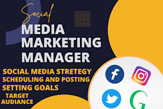 be your professional social media manager