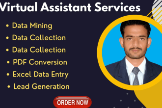 do data entry, lead generation and collect phone number, email address,