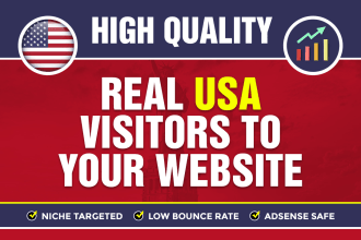 drive USA organic keyword targeted web traffic real visitors