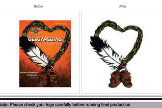 do vector tracing, raster to vector, high resolution picture