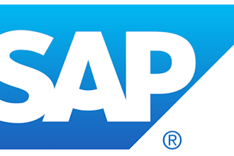 provide sap mm consulting for all business scenarios and solution developments
