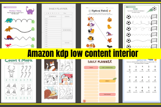 create custom unique amazon kdp low content interior or activity book for kids