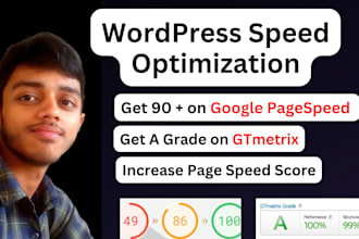 do wordpress  speed optimization, increase page speed score