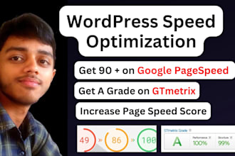 do wordpress  speed optimization, increase page speed score