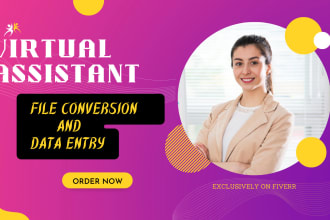 do manual data entry, file conversion and web research