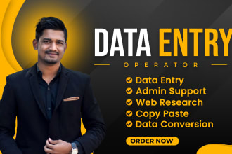 be your data entry operator