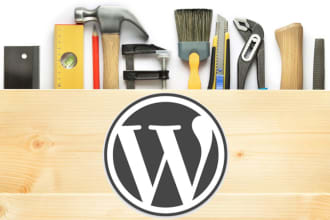 fix any wordpress themes, plugins and servers error
