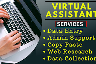 be your virtual assistant for data entry, data mining work