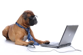 translate to spanish an article up to 500 words