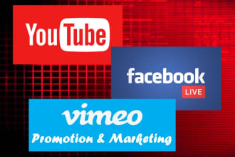 do vimeo music promotion of a video with a niche relevant audience for you
