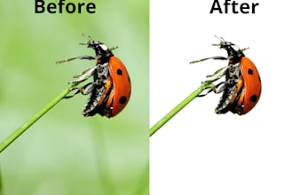 remove background from images in canva pro