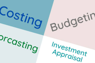 do financial forecasting, budgeting and investment appraisal