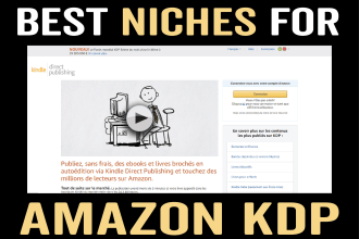 find profitable niche ideas for amazon kdp business