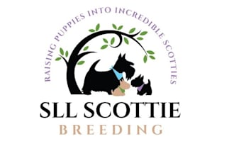 design original attractive animals logo