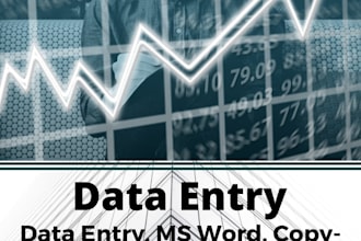 do data entry, typing work, copy paste, web search, excel work