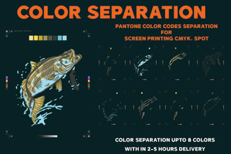 color separation for screen printing cmyk, spot and simulation