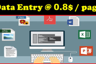 do data entry, data formatting, data analysis, data conversion, data comparison