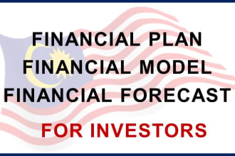 create investors financial plan and forecast for malaysia sme