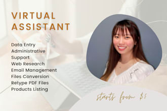 do data entry, copy paste, web research, and excel data entry