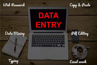 do fastest data entry, copy paste, word and excel entry