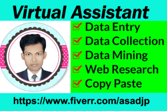 data entry, data mining, web scraping and copy paste jobs